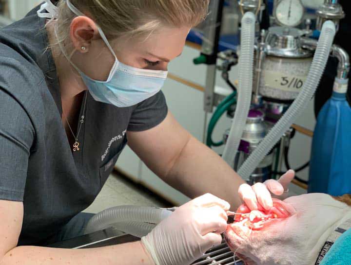 Preventive Dental Care