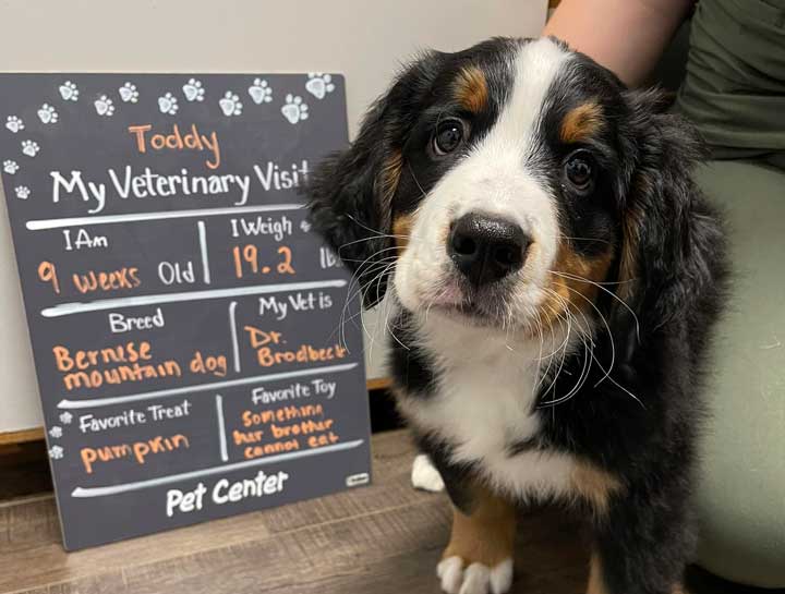 Puppy & Kitten Care